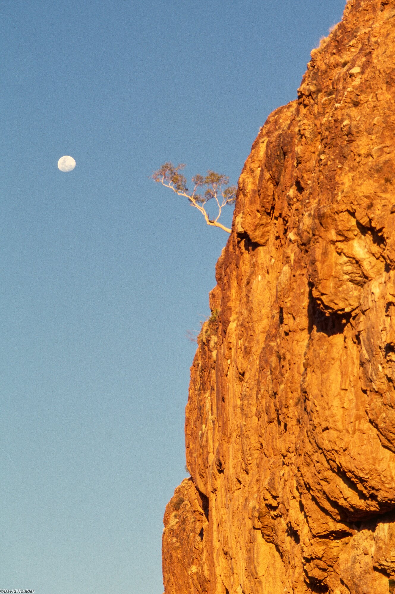 Moon rising at Glen Helen