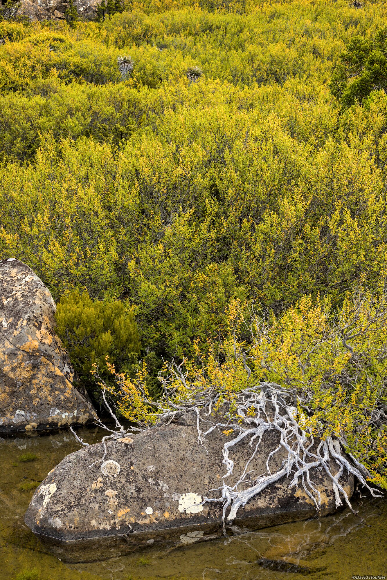 Tarn Shelf in Autumn