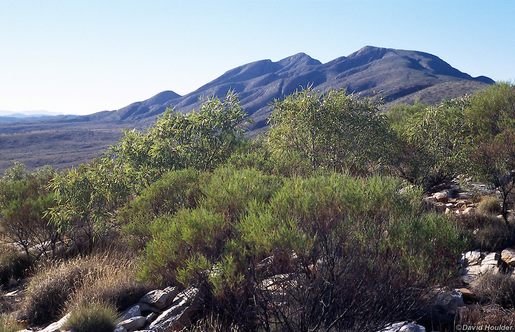 Mt Sonder from the west