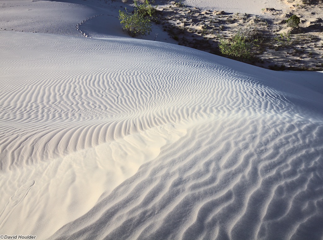Dunes and footprints