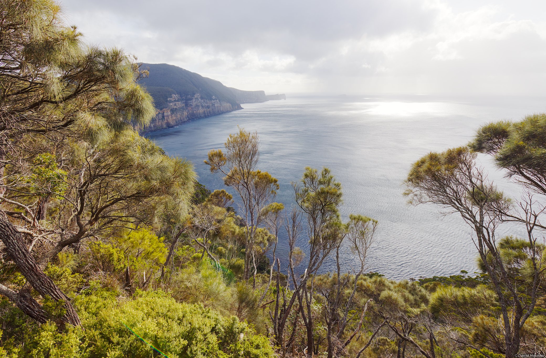 Munroe Bight