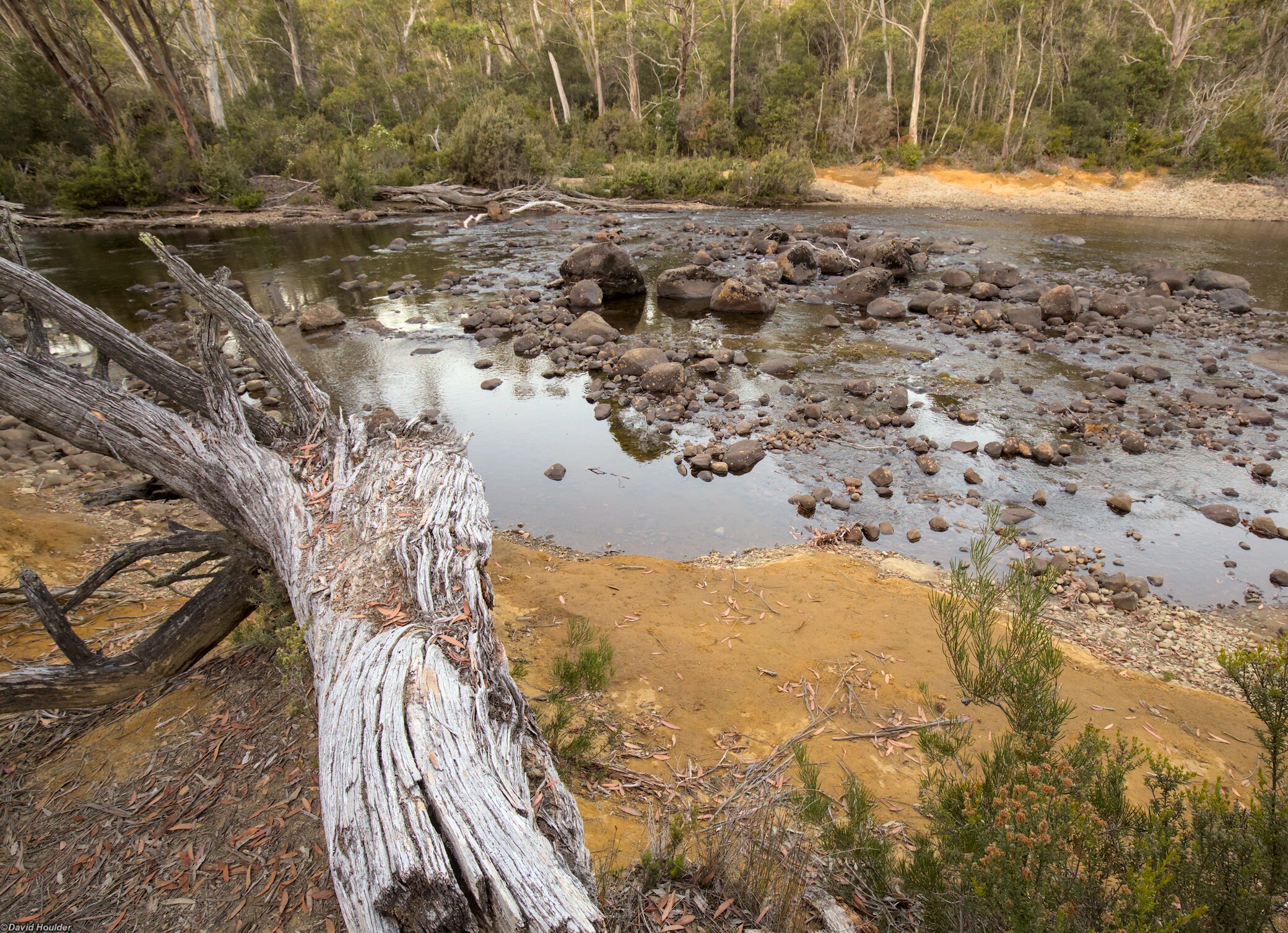 Narcissus River