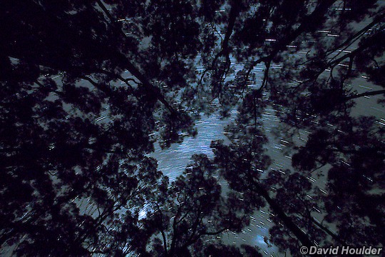 Great Ocean Walk [davidhoulder.com]