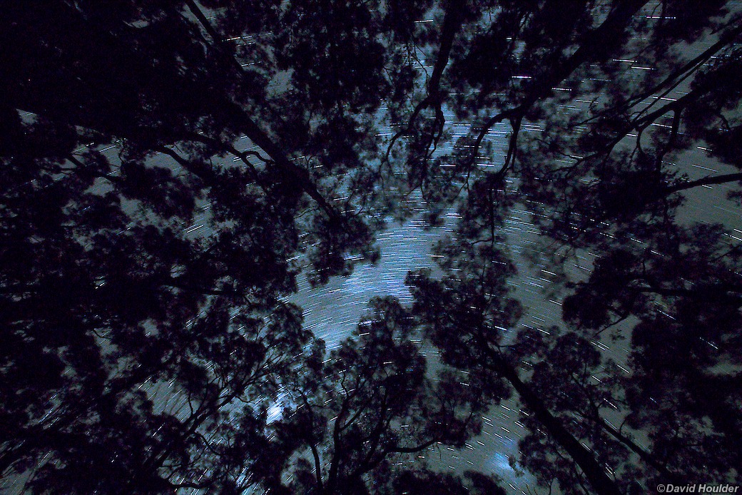 Night sky at Elliot Ridge