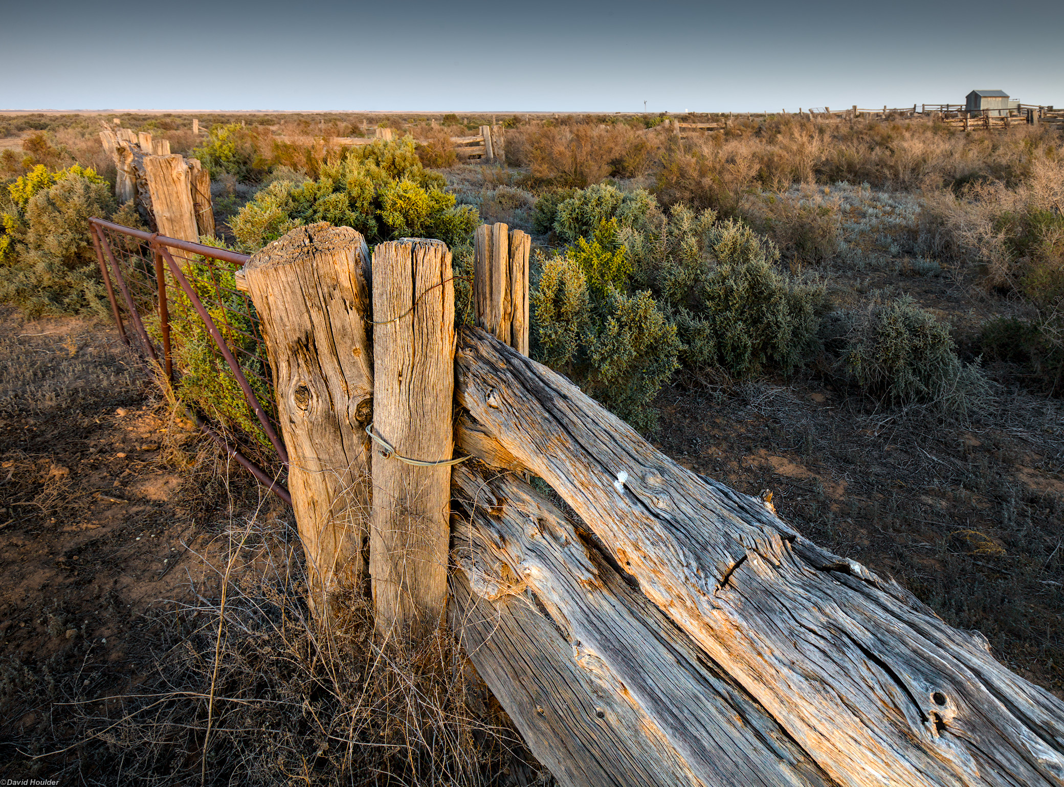 Weathered wooden fence, rusted gate, shrubs and distant shed