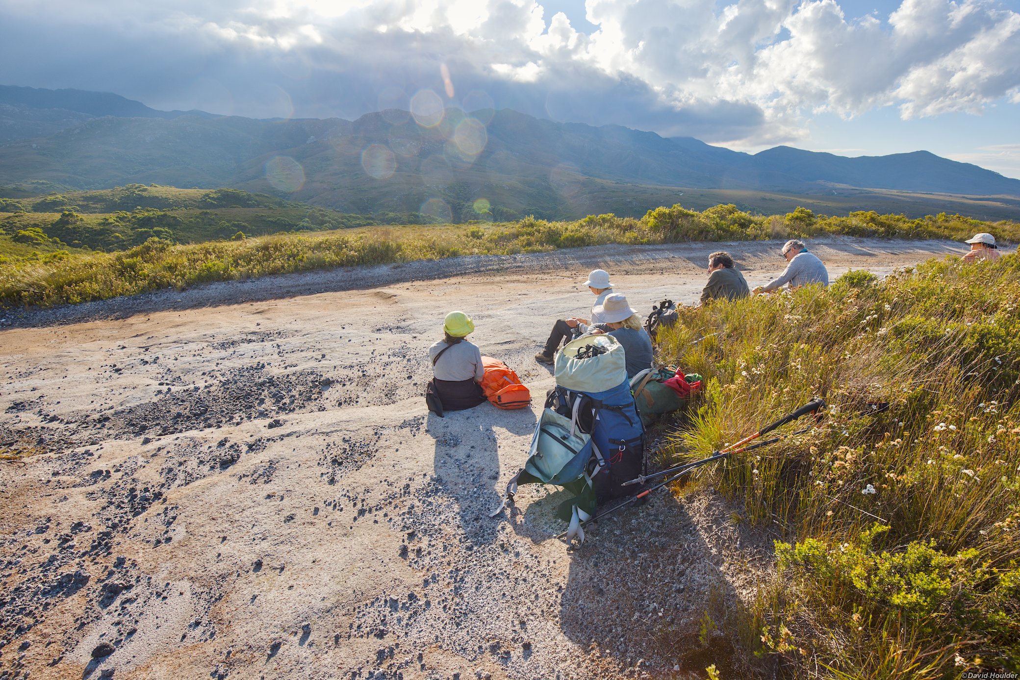 On the track to Trial Harbour