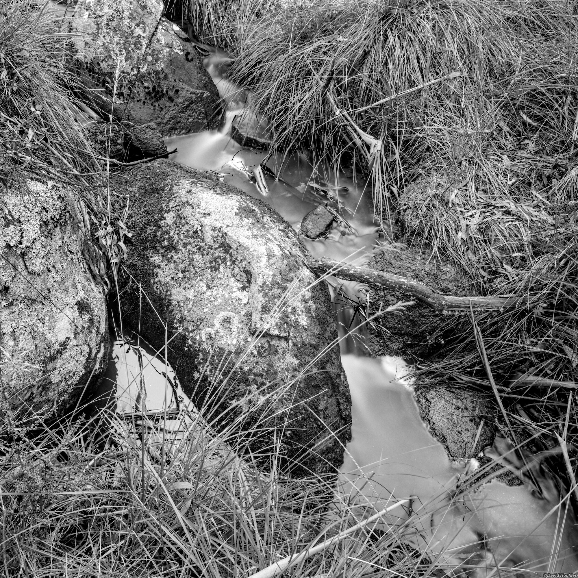 Closeup view of rocks, sticks, grasses and a tiny stream