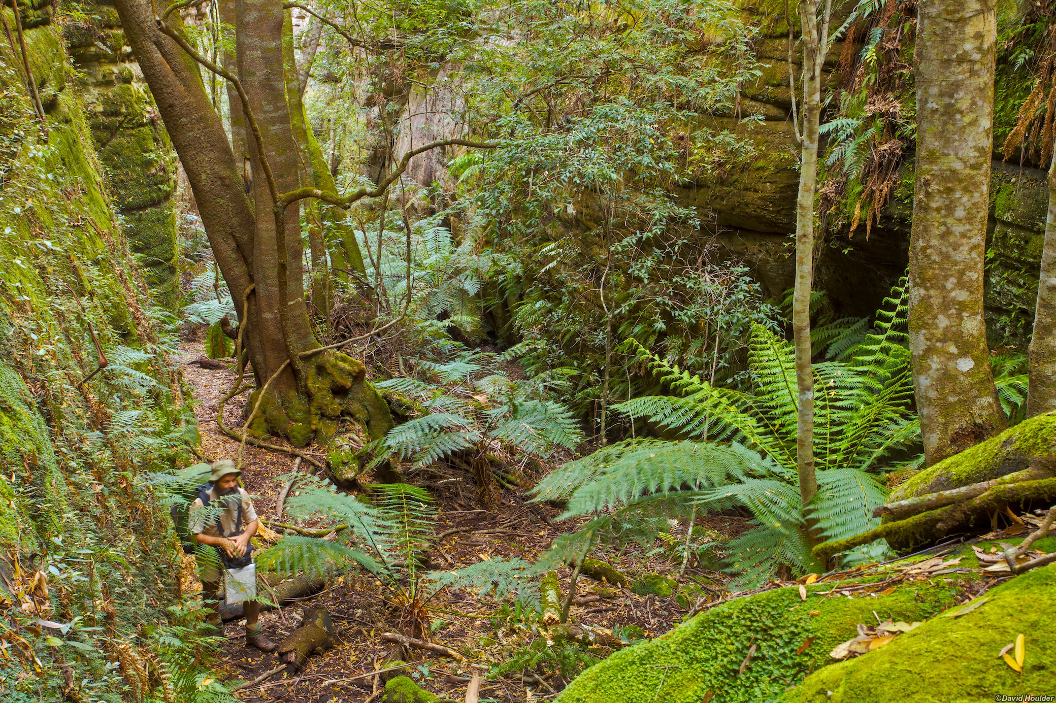 Rob in the Green Room