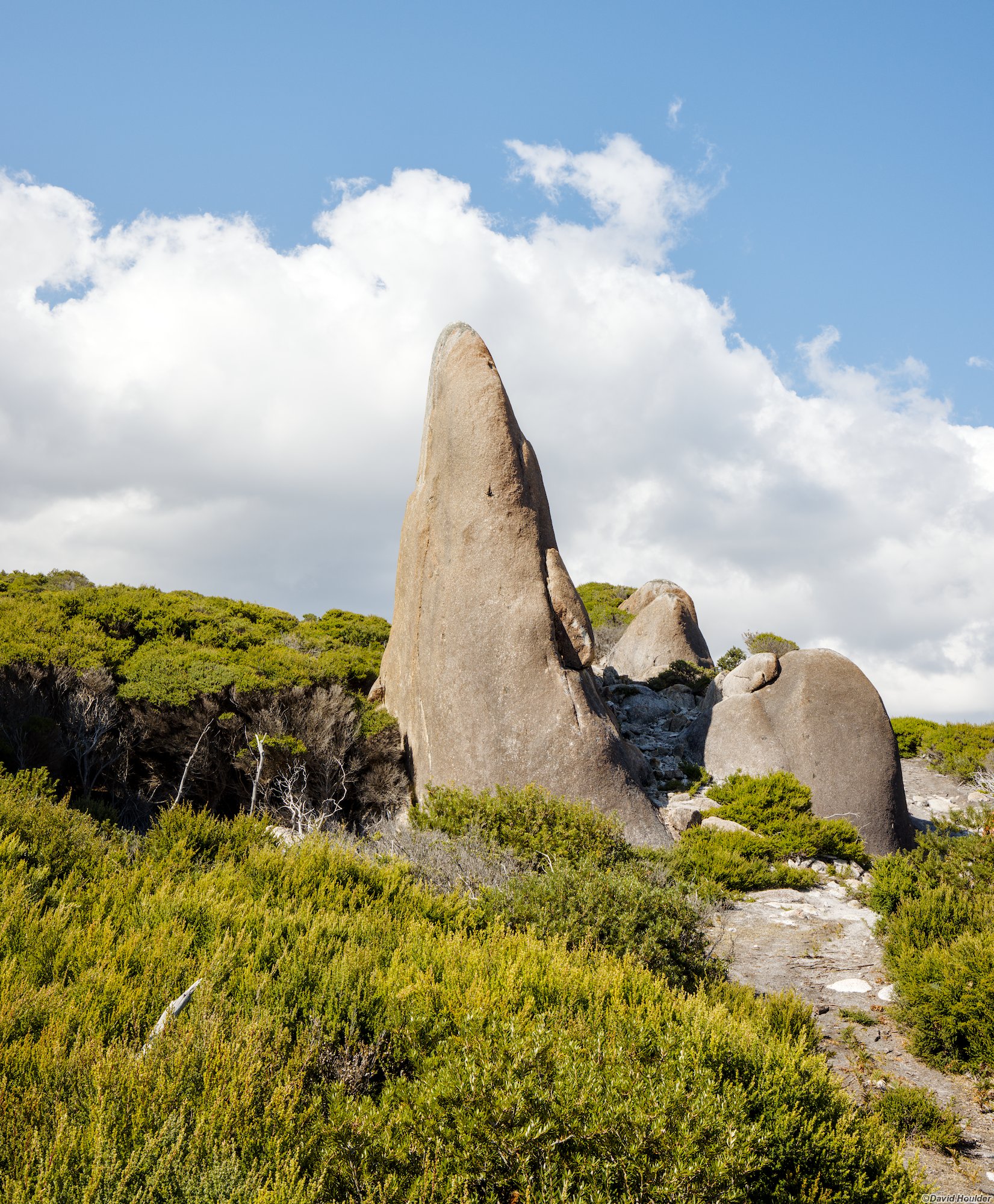 Arguably more conical