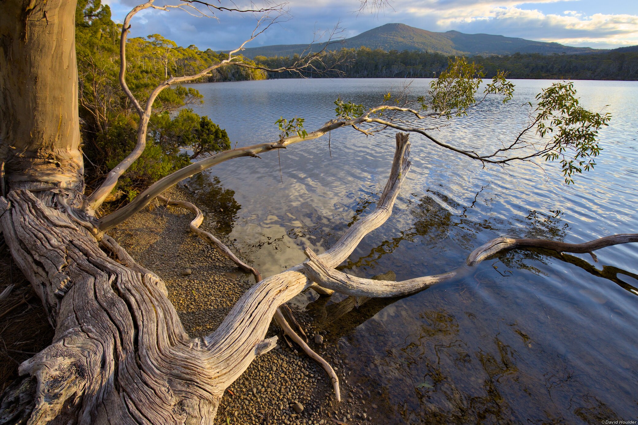 Shadow Lake