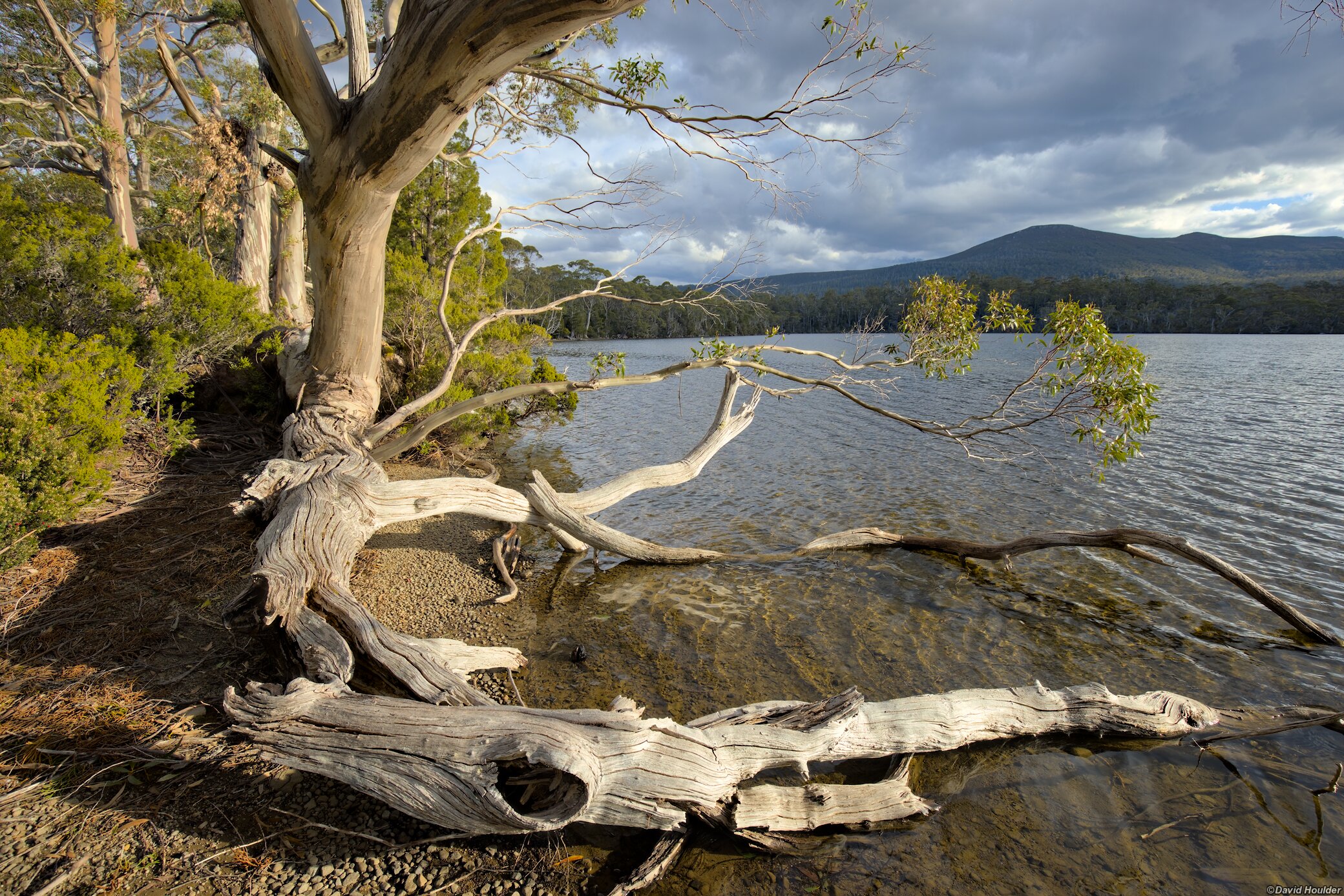 Shadow Lake