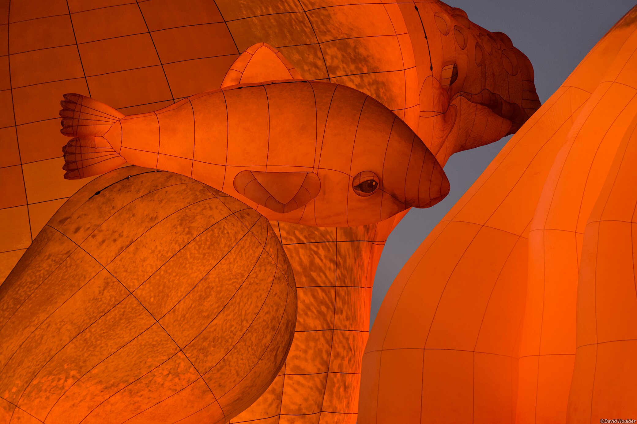 Skywhale and Skywhalepapa