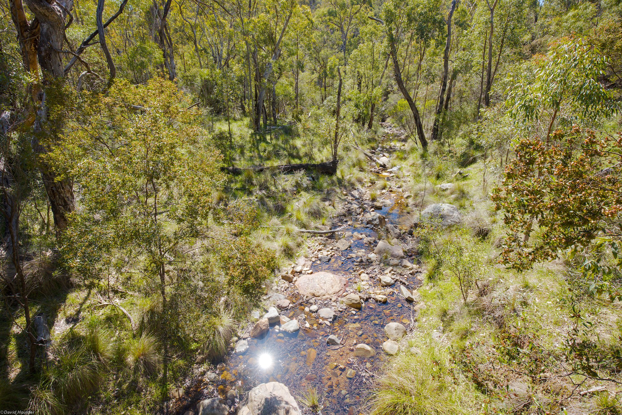 Spirey Creek