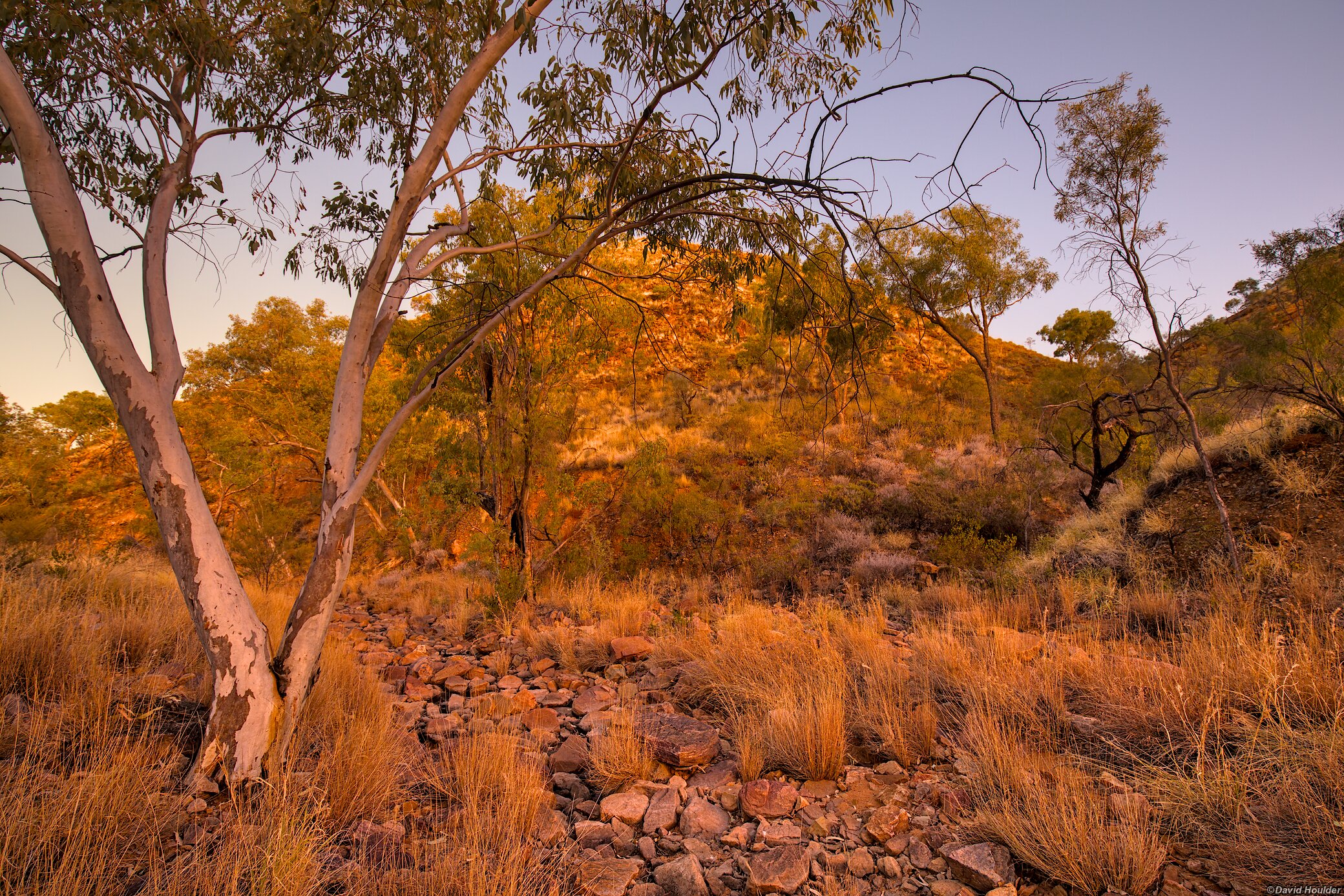 Sun setting on the hill near the campsite