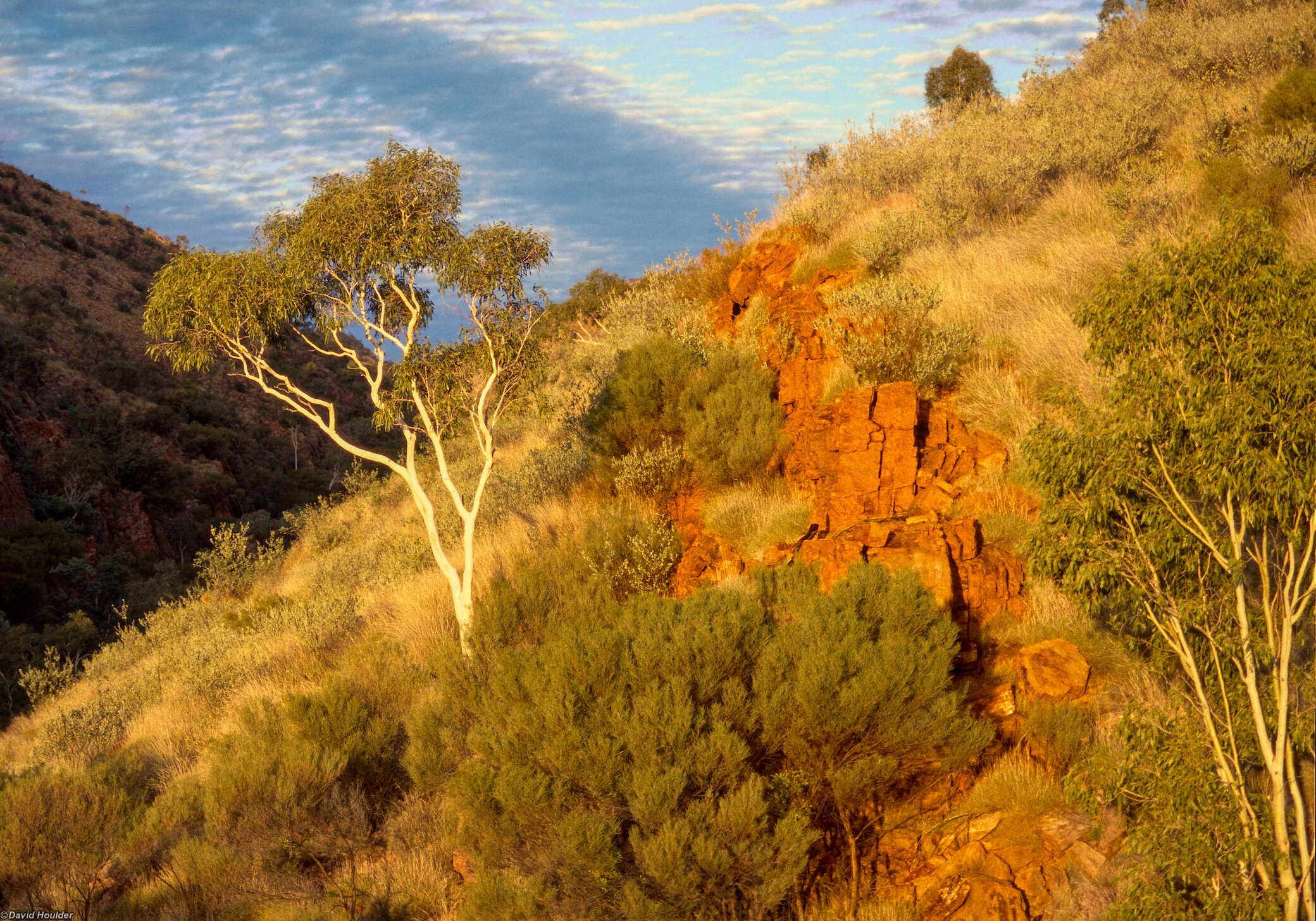 Sun setting on Waterfall Gorge