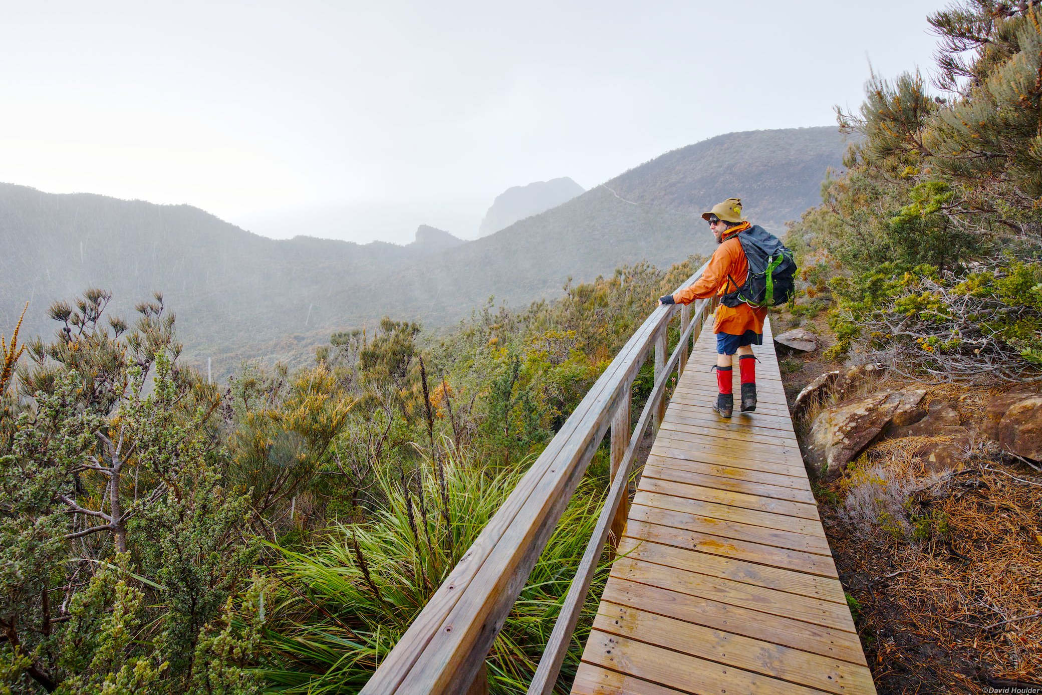 Track to Cape Pillar