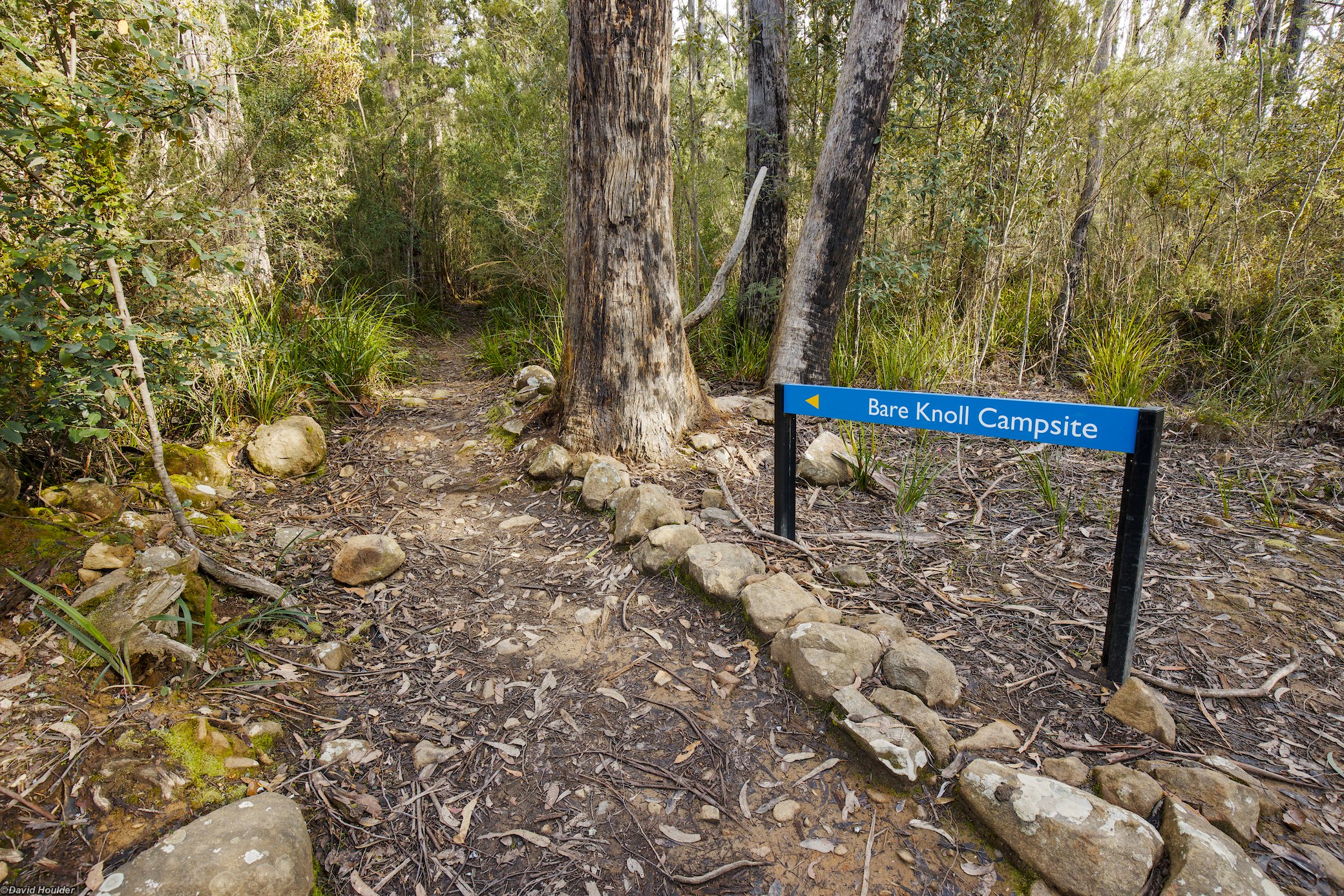 Trailhead