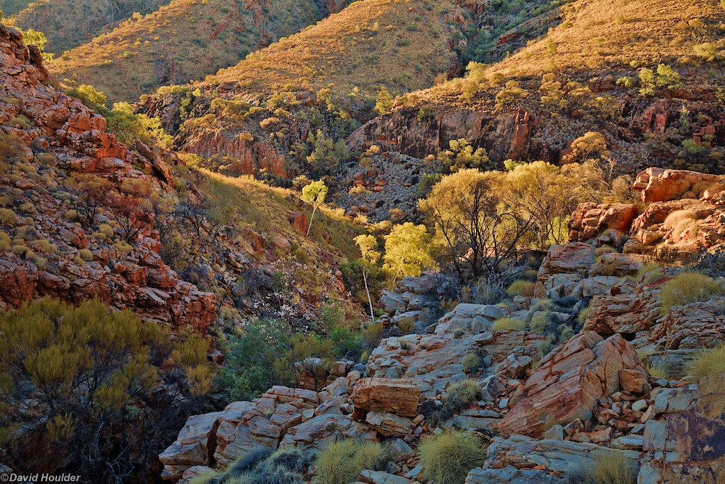 Waterfall Gorge