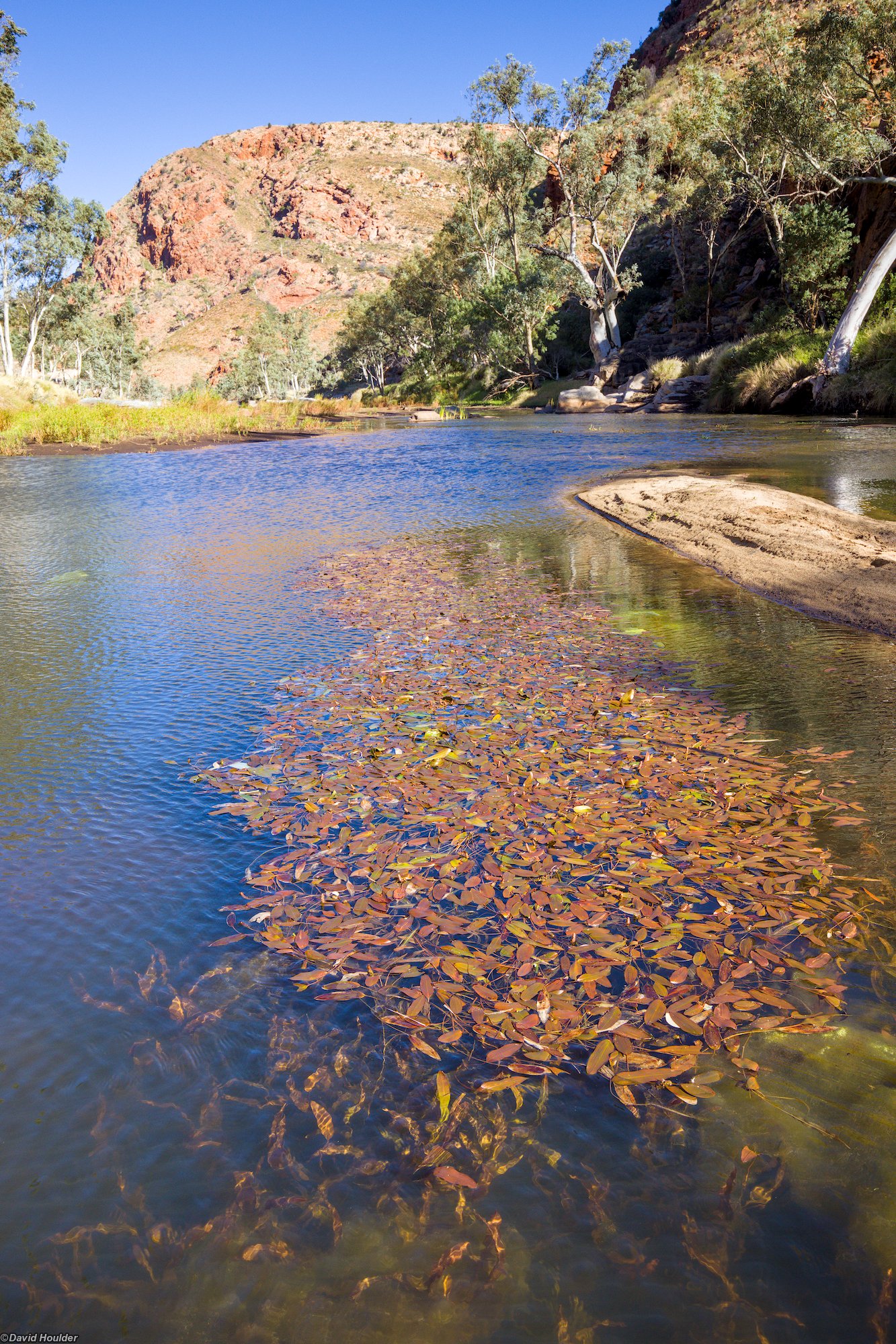 Waterhole at Bowmans Gap