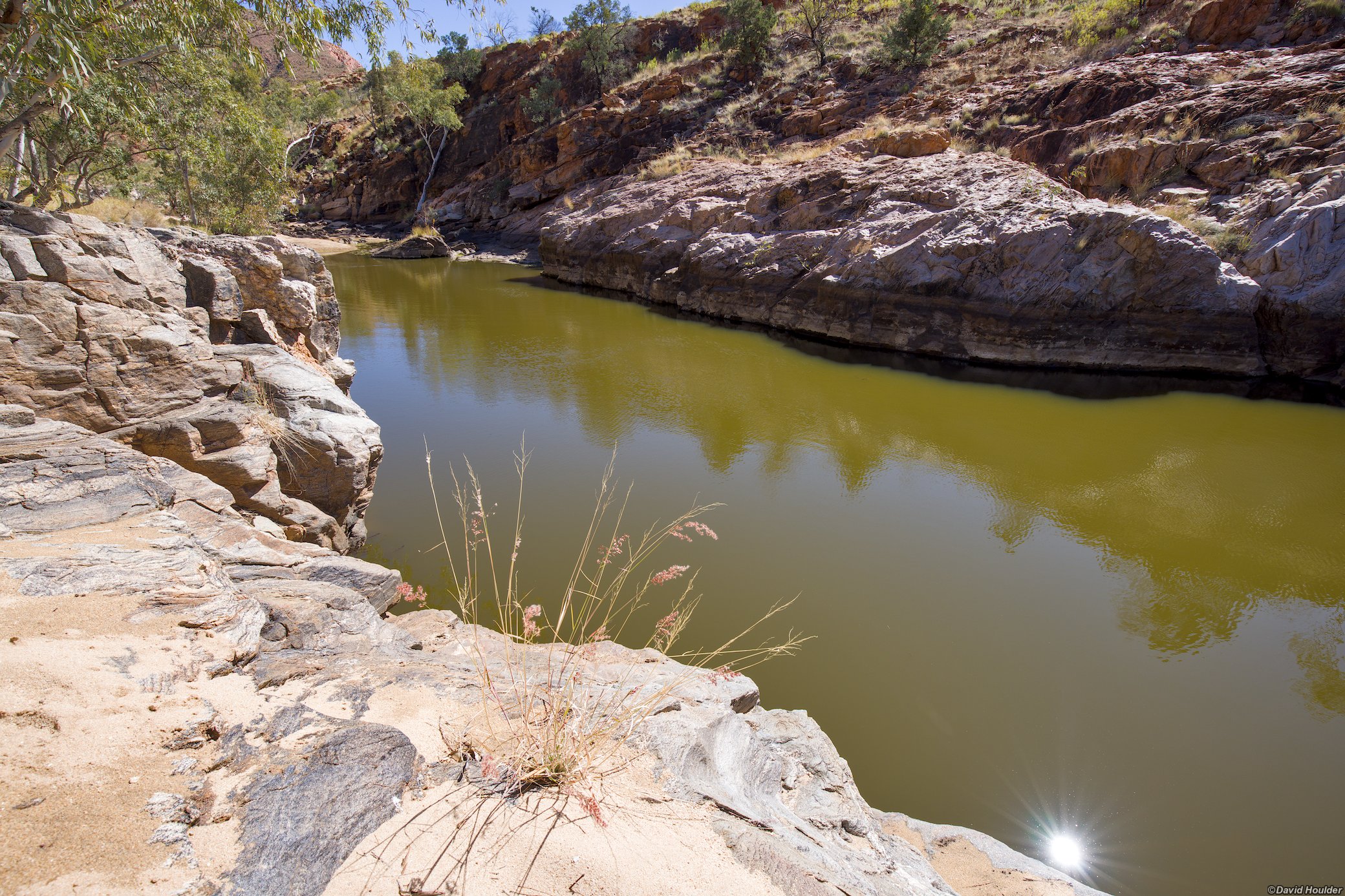 Waterhole on Ormiston Creek