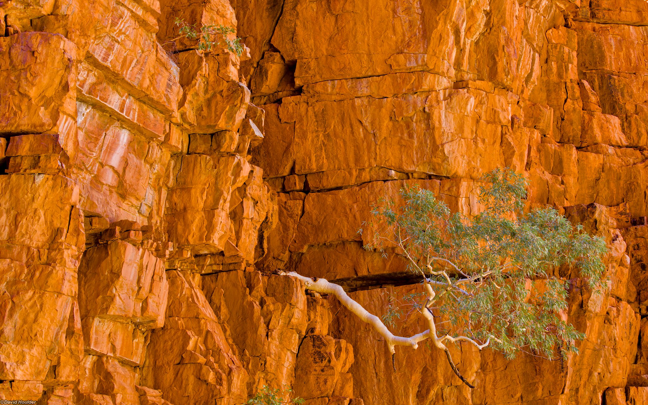 In Ormiston Gorge