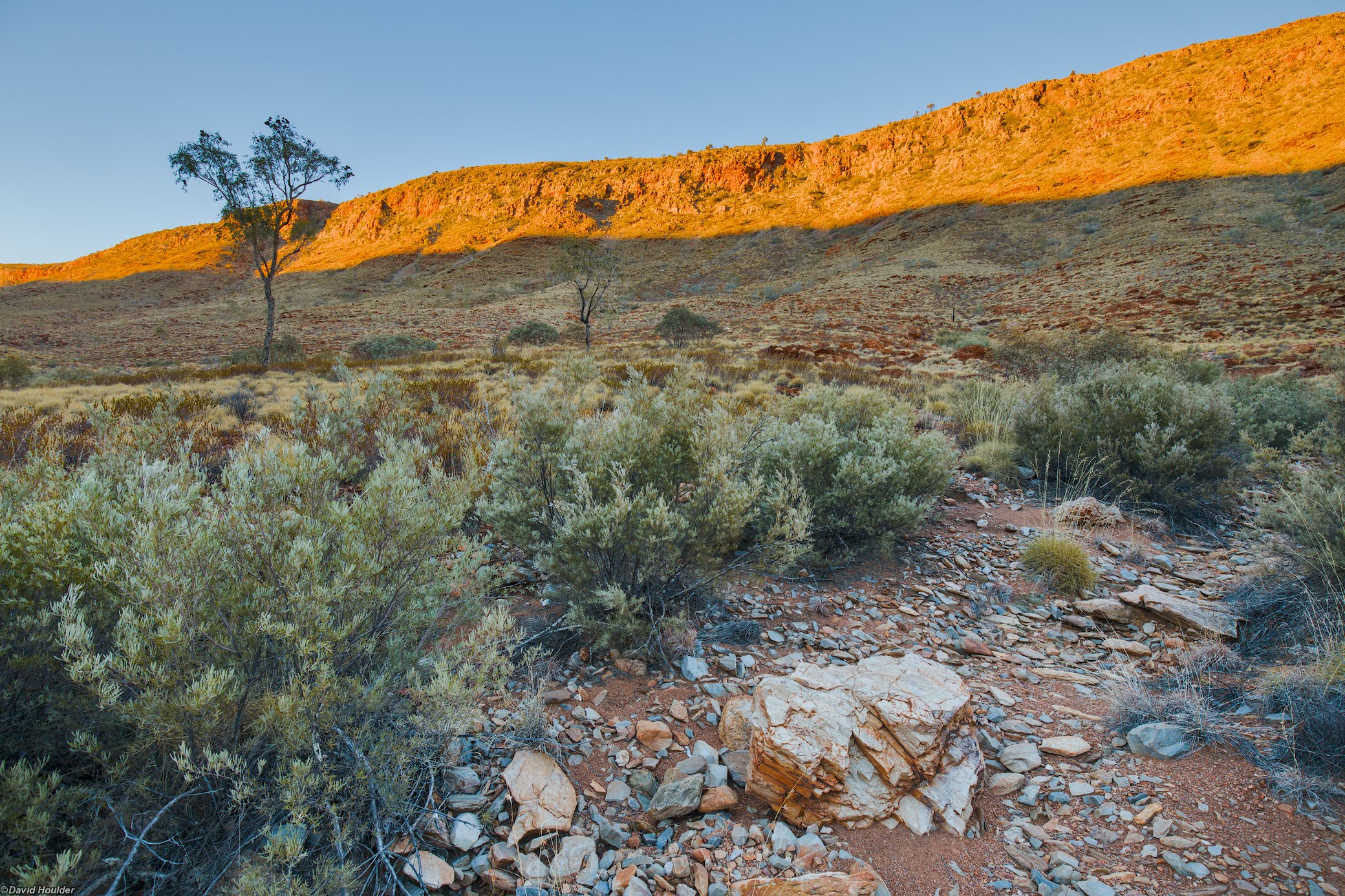 Morning at Waterfall Gorge